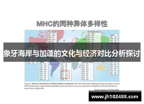 象牙海岸与加蓬的文化与经济对比分析探讨